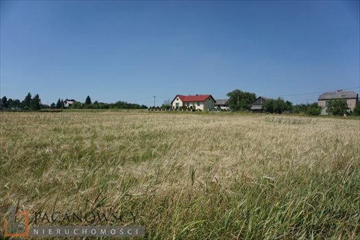 Działka budowlana na sprzedaż Cianowice Duże 2 000m2 Foto 3