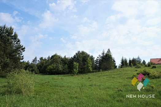 Działka siedliskowa na sprzedaż Łutynowo 3 006m2 Foto 5