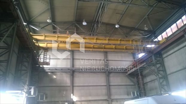 Lokal użytkowy na sprzedaż Będzin 1 200m2 Foto 5