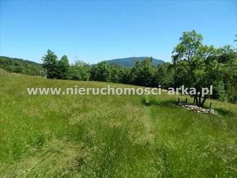 Działka budowlana na sprzedaż Dobra 3 600m2 Foto 5
