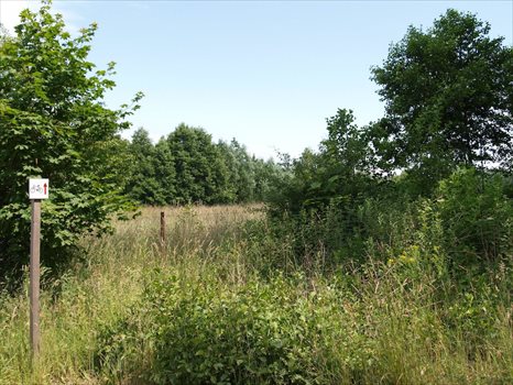 Działka budowlana na sprzedaż Odargowo, ul. Morska 1 532m2 Foto 3