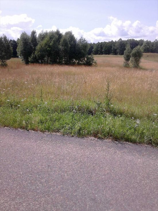 Działka budowlana na sprzedaż Pogorzelec 1 535m2 Foto 4