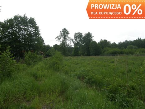 Działka budowlana na sprzedaż Warszawa, Wawer, Fromborska 1 259m2 Foto 4