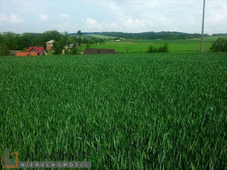 Działka budowlana na sprzedaż Masłomiąca 1 200m2 Foto 9