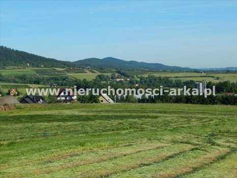 Działka budowlana na sprzedaż Skrzydlna 1 450m2 Foto 7
