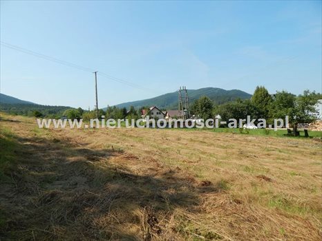 Działka budowlana na sprzedaż Dobra 1 500m2 Foto 5