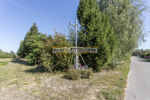 Działka budowlana na sprzedaż Płatków 3 900m2 Foto 7