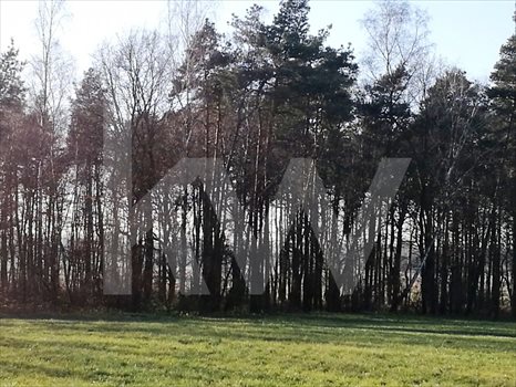 Działka budowlana na sprzedaż Brzeźce 3 700m2 Foto 3