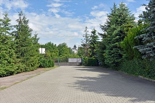 Lokal użytkowy na wynajem Pruszcz Gdański, Juszkowo 4 000m2 Foto 3
