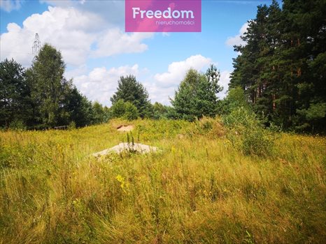 Działka budowlana na sprzedaż Orzechowo 25 000m2 Foto 3