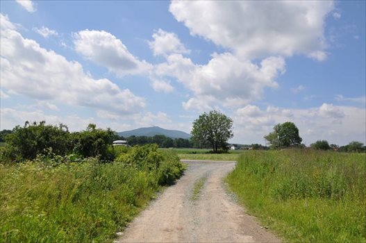 Działka budowlana na sprzedaż Rogów Sobócki, Szkolna 1 731m2 Foto 7