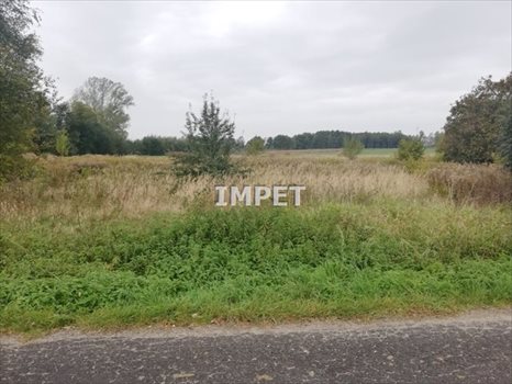 Działka inna na sprzedaż Trójca 1 859m2 Foto 3