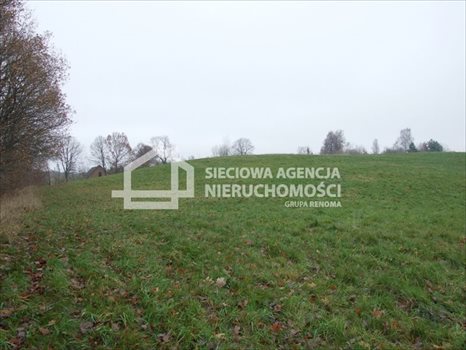 Działka rolna na sprzedaż Trzepowo 40 200m2 Foto 4