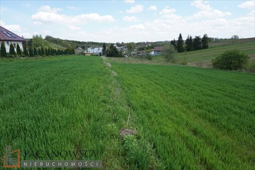 Działka budowlana na sprzedaż Cianowice Duże 4 006m2 Foto 7
