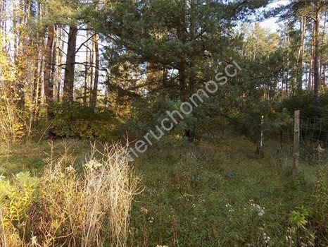 Działka rolna na sprzedaż Otwock, Wólka Mlądzka 1 350m2 Foto 5