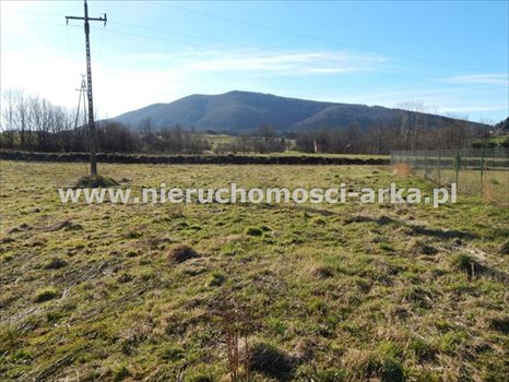 Działka budowlana na sprzedaż Kasina Wielka 1 500m2 Foto 1