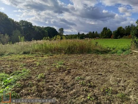 Działka budowlana na sprzedaż Owczary 3 000m2 Foto 5