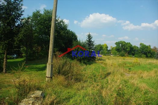 Działka budowlana na sprzedaż Tarnowskie Góry, Sowice, Korczaka 3 988m2 Foto 6