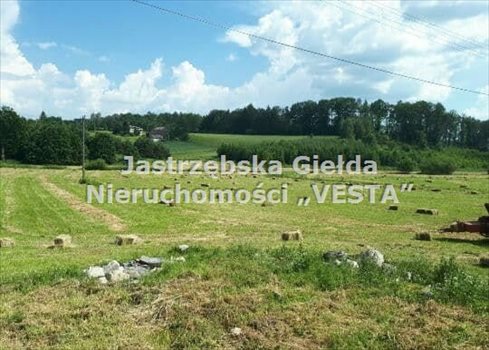 Działka inna na sprzedaż Jastrzębie-Zdrój, Cisówka 4 290m2 Foto 2