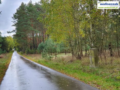 Działka budowlana na sprzedaż Ostrów 1 306m2 Foto 2