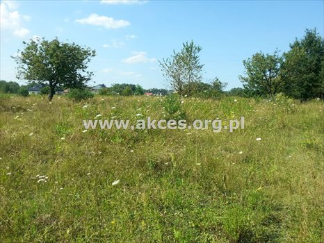 Działka budowlana na sprzedaż Gabryelin 1 000m2 Foto 4