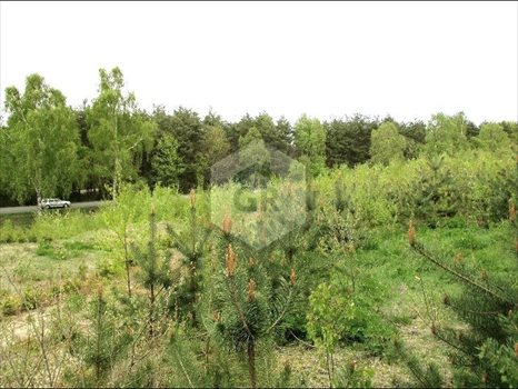 Działka budowlana na sprzedaż Gołubie 2 097m2 Foto 4