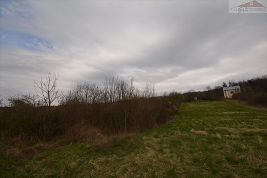 Działka rekreacyjna na sprzedaż Nowosiółki Dydyńskie 2 100m2 Foto 3