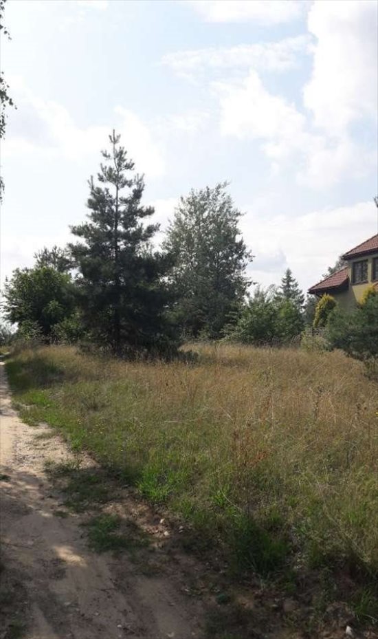 Działka budowlana na sprzedaż Wrzosowa, Hutnicza 1 600m2 Foto 3