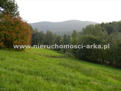 Działka budowlana na sprzedaż Porąbka 15 000m2 Foto 1