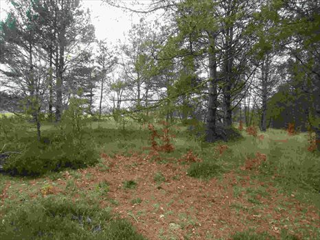 Działka budowlana na sprzedaż Kamień, Beżowa 1 152m2 Foto 8