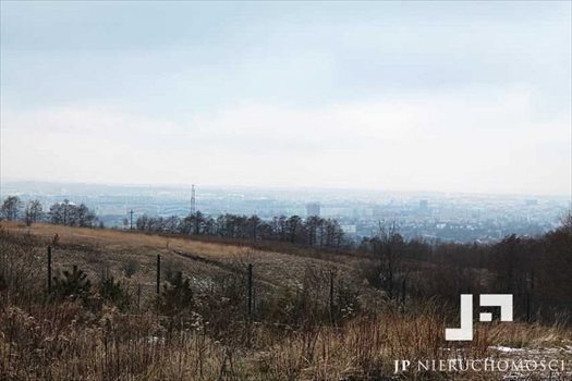Działka budowlana na sprzedaż Matysówka, Matysówka 850m2 Foto 2