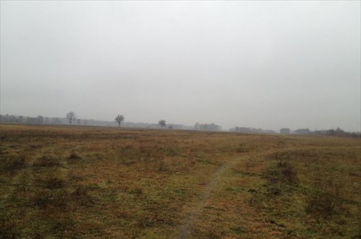 Działka budowlana na sprzedaż Lipówki 800m2 Foto 2