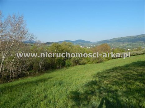 Działka budowlana na sprzedaż Skrzydlna 16 900m2 Foto 6