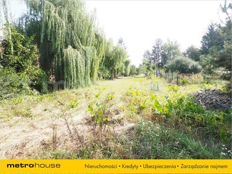 Działka inna na sprzedaż Parypse, Chełm 2 252m2 Foto 2