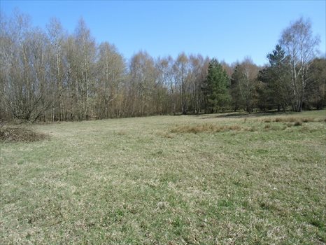 Działka budowlana na sprzedaż Kielno, Wiśniowa 1 415m2 Foto 3
