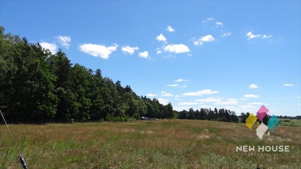 Działka rolna na sprzedaż Maruny 3 000m2 Foto 4