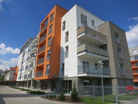 Lokal użytkowy na sprzedaż Poznań, Stare Miasto, Winogrady, Wilczak 113m2 Foto 9