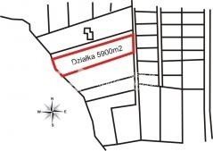 Działka budowlana na sprzedaż Bielkówko 5 900m2 Foto 2