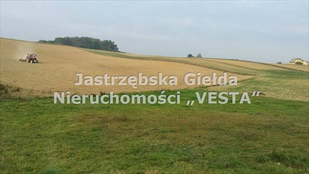 Działka inna na sprzedaż Jastrzębie-Zdrój, Bzie Zameckie 1 200m2 Foto 2