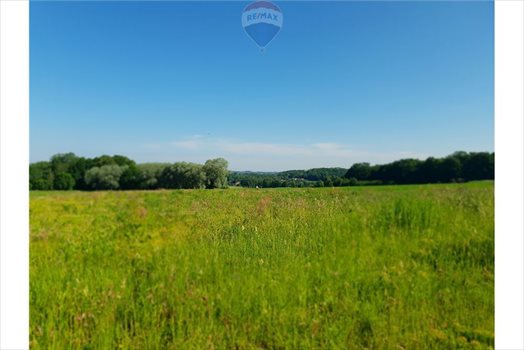 Działka budowlana na sprzedaż Grodziec 1 220m2 Foto 6