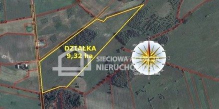 Działka leśna na sprzedaż Drozdowo 93 200m2 Foto 5