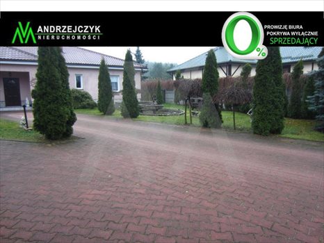 Dom na sprzedaż Borkowo, Jezioro, Las, Tereny rekreacyjne, Znana 197m2 Foto 1