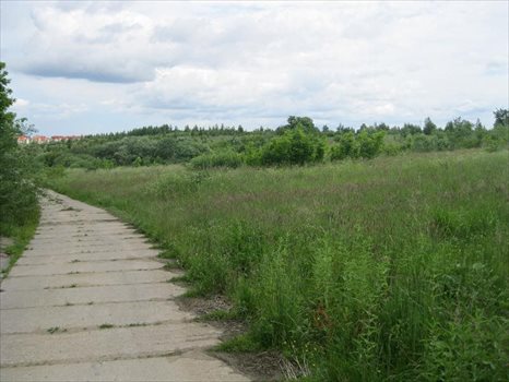 Działka przemysłowo-handlowa na sprzedaż Jankowo Gdańskie, Przy Obwodnicy Trójmiejskiej 30 800m2 Foto 5