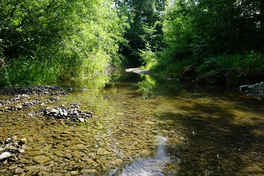 Działka budowlana na sprzedaż Przenosza 2 800m2 Foto 7