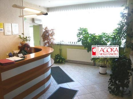 Lokal użytkowy na wynajem Nowy Targ 2 000m2 Foto 6
