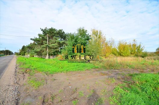 Działka budowlana na sprzedaż Gorzów Wielkopolski, Zakanale 997m2 Foto 2