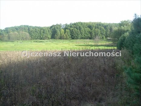 Działka leśna na sprzedaż Sąpolno 23 300m2 Foto 2