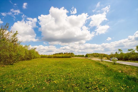 Działka budowlana na sprzedaż Opoczno, Działka pod zabudowę jednorodzinną blisko lasu 703m2 Foto 8