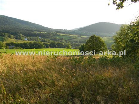 Działka budowlana na sprzedaż Skrzydlna 7 400m2 Foto 5