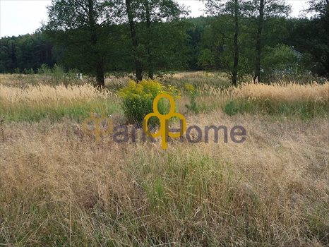 Dom na sprzedaż Osieczna 126m2 Foto 3